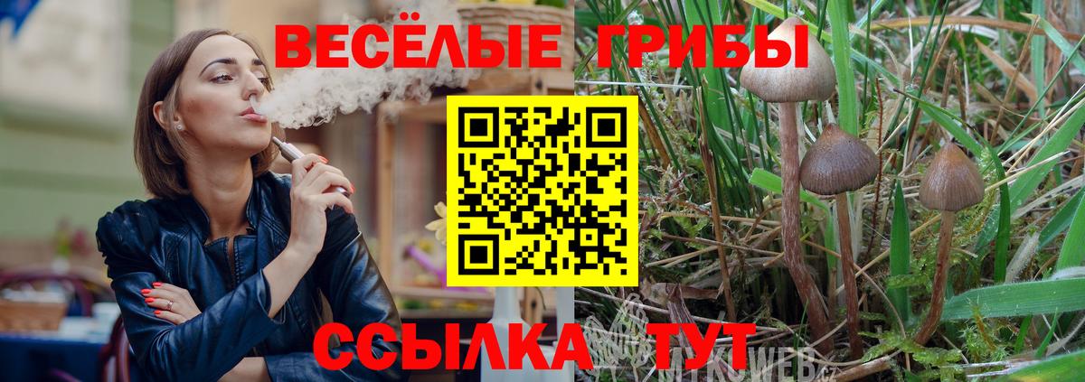 Псилоцибиновые грибы Cubensis Анжеро-Судженск